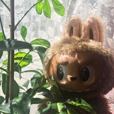 amorfati65's profile picture. 25↑ | アニメーター志望 | 日本語 OK、よろしくお願いします