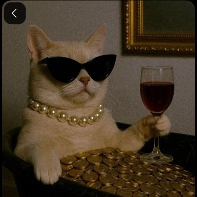 thraa650t's profile picture. 