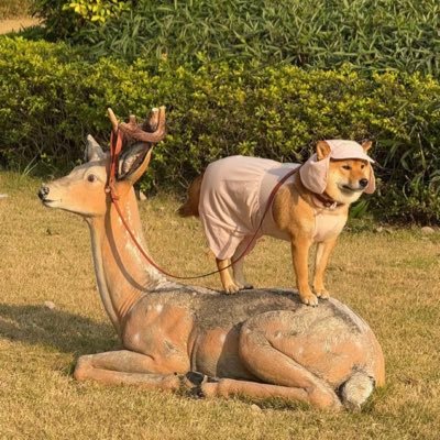 l2tann's profile picture. 