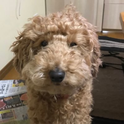 Ultra_new_'s profile picture. 少年のころにレスバをしたし、恋バナもした。