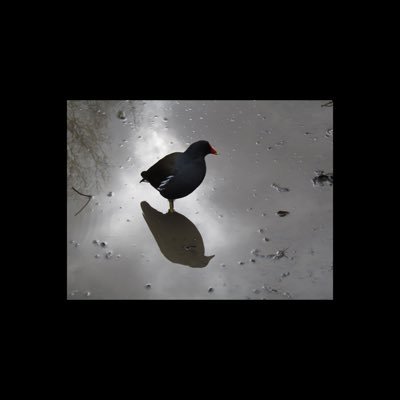 Paul_scribbles's profile picture. Writer and audiobook listener. Poetry collections ‘The Empty Horizon', and ‘Into the Earth’ published by Live Canon. ‘This Box of Stolen Sunlight’ coming soon…