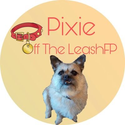 Pixie Tooth 🌈💔さんのプロフィール画像