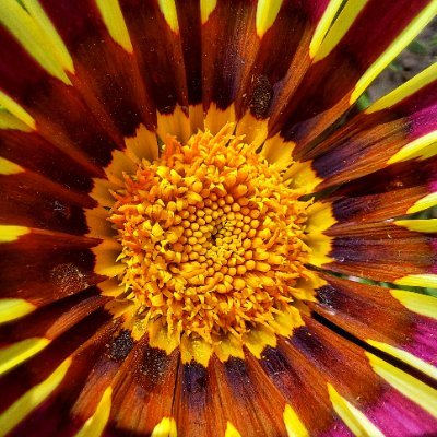 tomyyy2000's profile picture. 