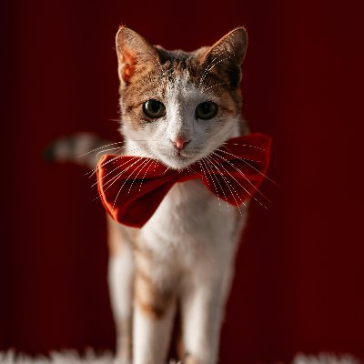 SSevcenko11170's profile picture. Same here