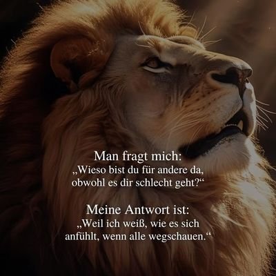 @meinungsviel
