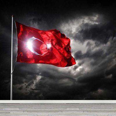 xu8154880082699's profile picture. Borsa İstanbul