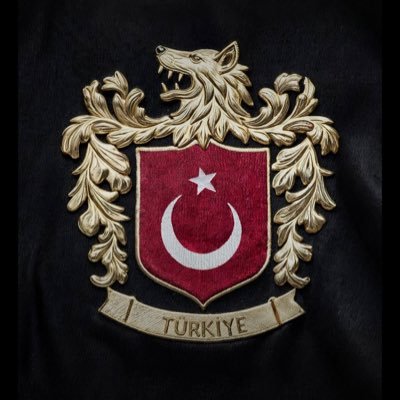 Diego071907's profile picture. SADECE FENERBAHÇE                               (NE MUTLU TÜRK’ÜM DİYENE)