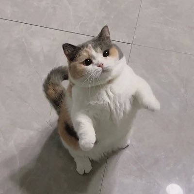 @Nnappe94