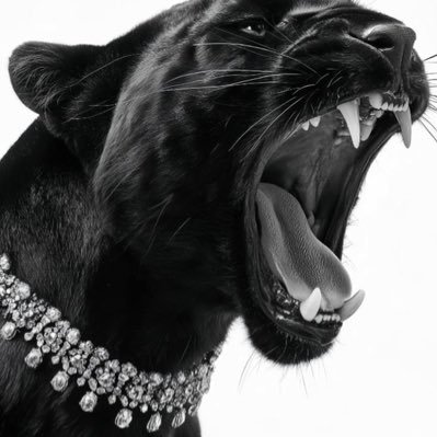 pain_nsuffering's profile picture. 