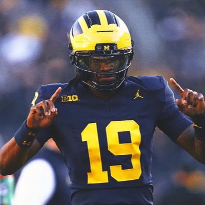 wspwpr's profile picture. hornets duke michigan hurricanes panthers dodgers