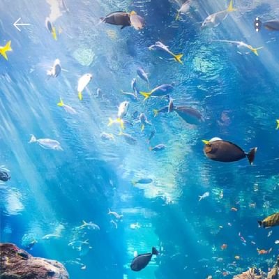 rajkumaryadv12's profile picture. business man