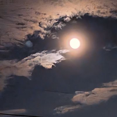 Ayamekaya135's profile picture. 