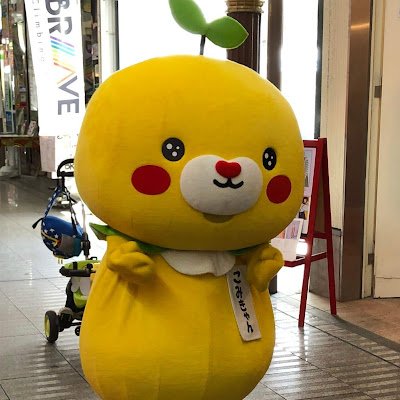 KMY277739768982's profile picture. 