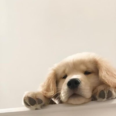 rraykks's profile picture. ขอให้ศิลปินที่ชอบ เป็นที่รักของคนที่ได้พบเจอตลอดไป #chenRcj #ppnaravit #phuwintang แถมแอบชอบ #Winynny #Satangs #dunknatachai 🌊🎨💭