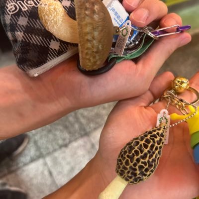 soramame_0520's profile picture. Sine Cerere et Baccho friget Venus