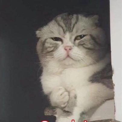 ฉันก็รักของฉัน🐣🐰น้ำปิงลูก(รักคยอม)さんのプロフィール画像