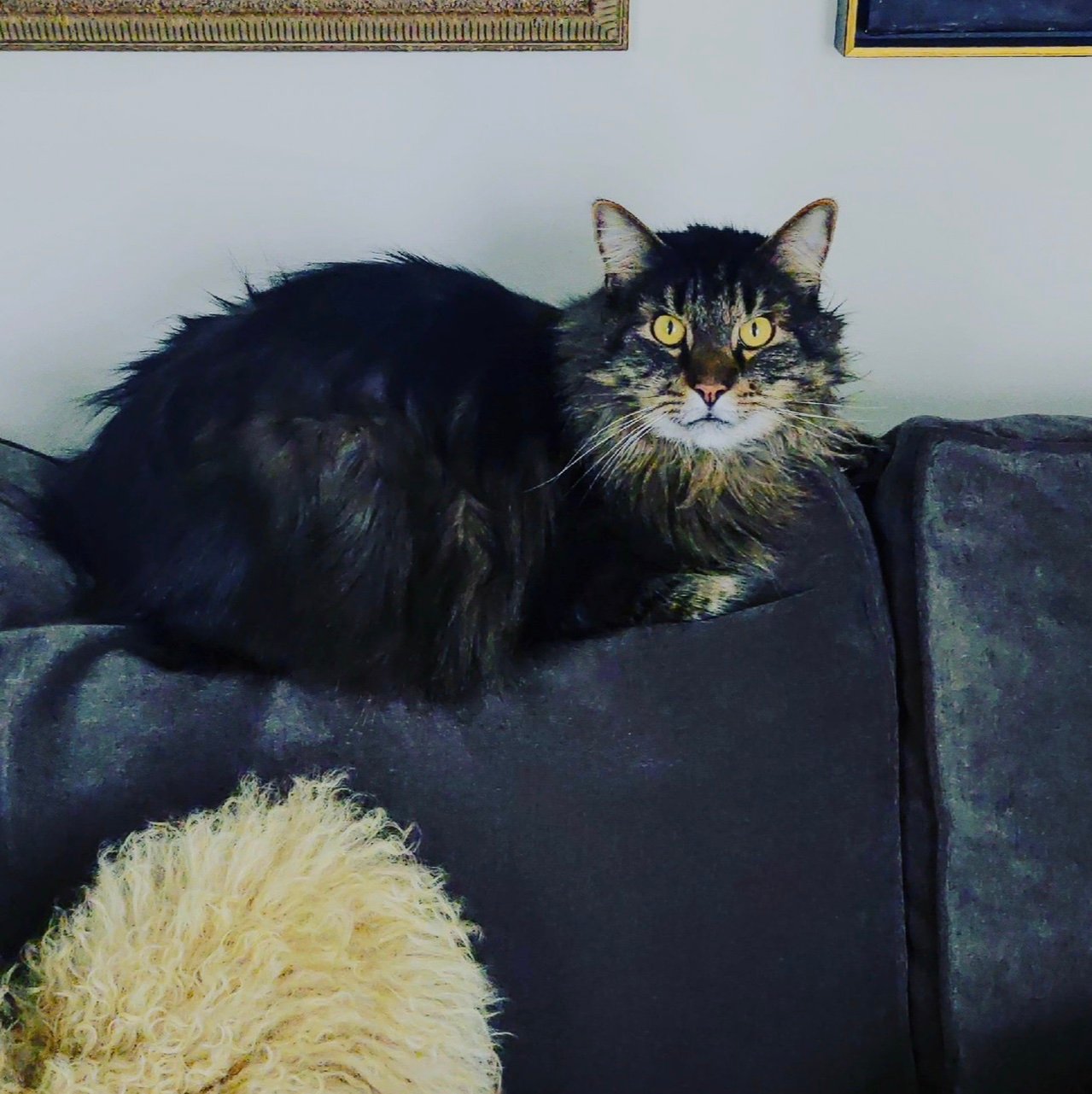 Teedie67's profile picture. 