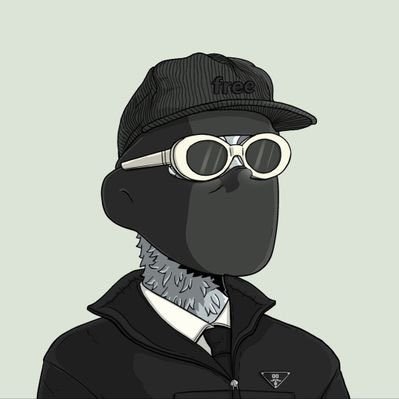 shakur_orly's profile picture. In crypto we trust | Private Investor | Narrative hunter. Tweets are NFA $CTBR Dev
