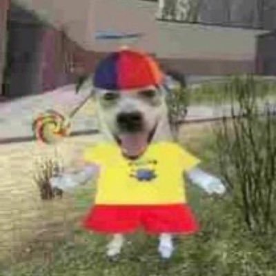 lana_niasf's profile picture. 