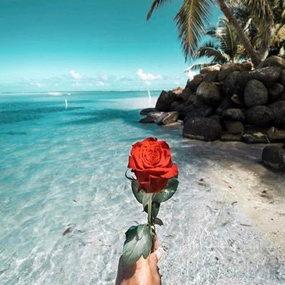 AngeMaripr's profile picture. “The greatest glory in living lies not in never falling, but in rising every time we fall”. - Nelson Mandela.