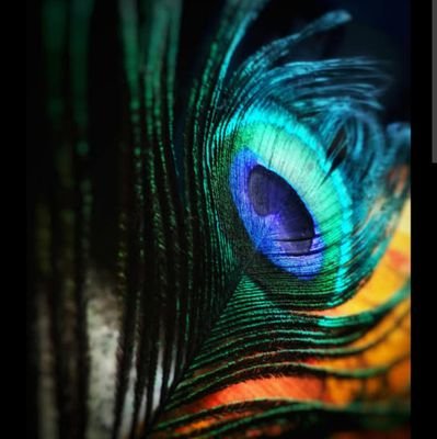 newbornkid15's profile picture. 