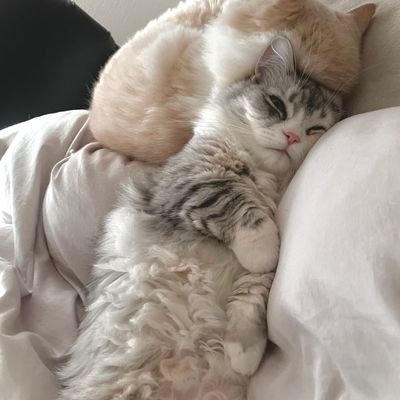 inum_o's profile picture. 