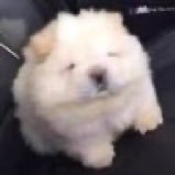 hfbaefhvdibsagl's profile picture. We get high We get fat