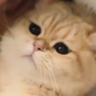 Leftheretip's profile picture. JS 에게 : 그댄 나의 리듬 、내 삶의 선물 ~ ♡