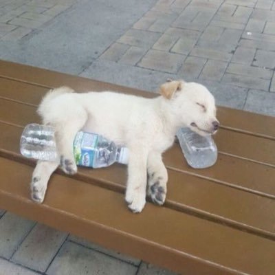 graywishbone's profile picture. 