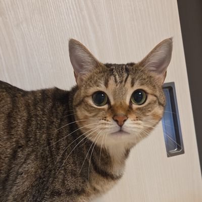 wbuPQG0DlK93598's profile picture. 