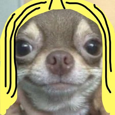 bowwow_peace's profile picture. ﾃﾋｮﾝちゃんの一瞬一秒たりとも見逃さねぇから