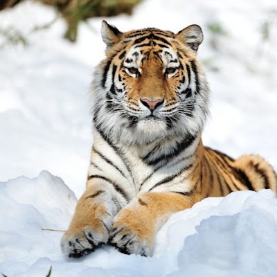 pro54570's profile picture. 