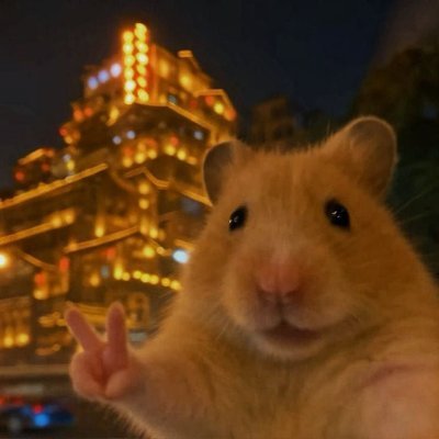 Meii_July's profile picture. 