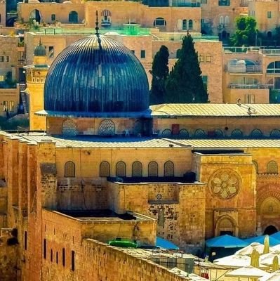 MakhinShinwari's profile picture. 