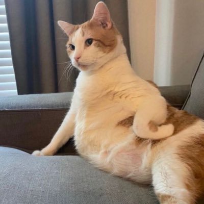 louisdavee's profile picture. 🏳️‍🌈Filo Blink in your area