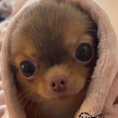 dohunfan's profile picture. 쥐숭합니다