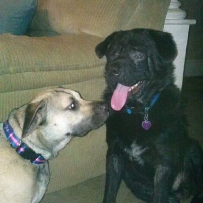 CarrollSco80500's profile picture. it's me who is my enemy
me who beats me up
me who makes the monster
me who strips my self confidence