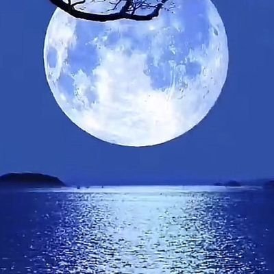 ssalmarzoqi's profile picture. حساب تجد فيه كل مايخص: الشاعر

سعيد المرزوقي* من قصائد وشيلات