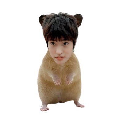 geongkwi's profile picture. 엉
