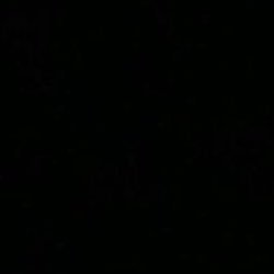 Z172_'s profile picture. 