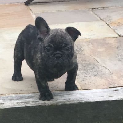 CalHens_92's profile picture. Born in Portsmouth, raised on Fratton Park chants. Play up Pompey 💙