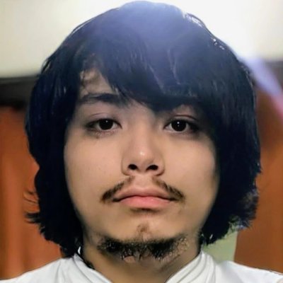 AneiHere's profile picture. I write code that browsers 'mostly' understand. 🤪