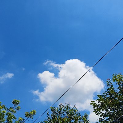 SHOAN88416489's profile picture. If you don’t follow back,i'll unfollow you

Crew @Carina_Finance