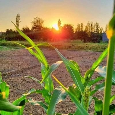 vb00808zx's profile picture. والتائب حبيبُ اللّٰه سواءً كان شابًا أو شيخًا.
تٌـبًعٌنِيَ آتٌبًعٌکْ
- ابن تيمية.