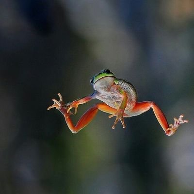 BeenAToughOne's profile picture. 