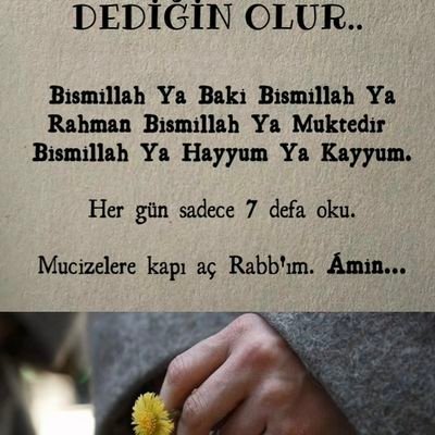 FurkanN60286711's profile picture. 