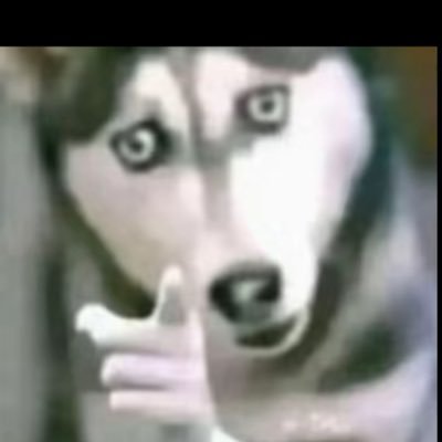 Leflow42's profile picture. 