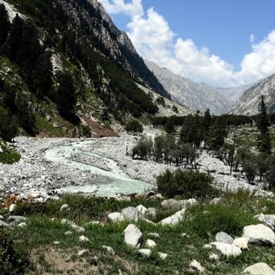 0xundefined1's profile picture. crypto since 2017