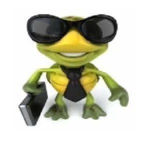 cxxlhx's profile picture. 