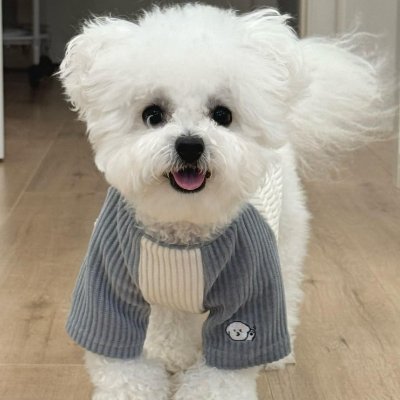 Doria999700's profile picture. History whispers truth to those who listen reminding us that progress without reflection is fragile. 🌬️